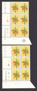 SOUTH AFRICA SC# 409  CONTROL B/6  CYLINDER #656-59  PANE A&B #3  FVF/MNH  1975