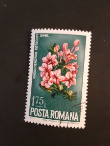 +Romania #2516        CTO