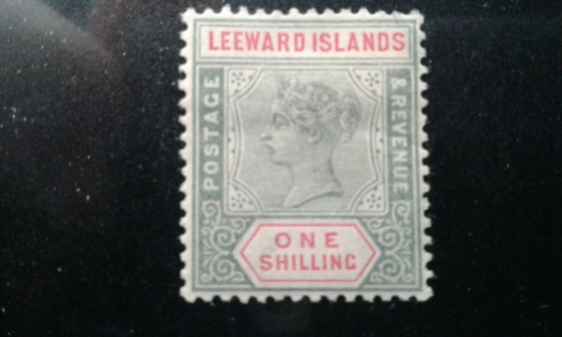 Leeward Isl #7 mint hinged e199.5252