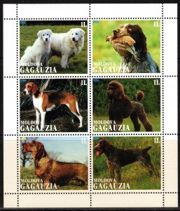 Gagauzia-Moldova 1999  DOGS - BIRD - Sheetlet of 6 values Perforated MNH