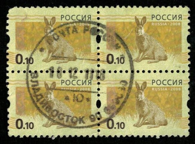 Animal, Hare, Russia, (2673-T)