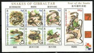 Gibraltar Stamp 870a  - Year of the Snake