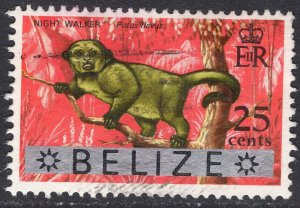 BELIZE SCOTT 320