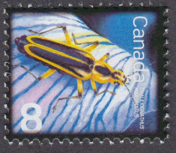 Canada - #2409 Beneficial Insects - Margined Leatherwing - MNH