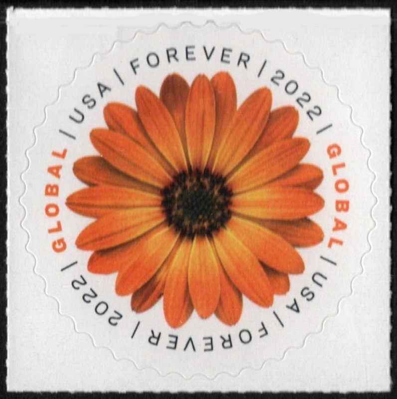 SC#5680 (Global Forever) African Daisy Single (2022) SA*