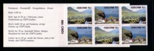 Faore Islands Sc 251a 1993 Nordic Stamp booklet mint NH