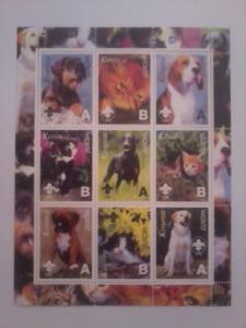 KOSOVA KOSOVO SHEET DOGS