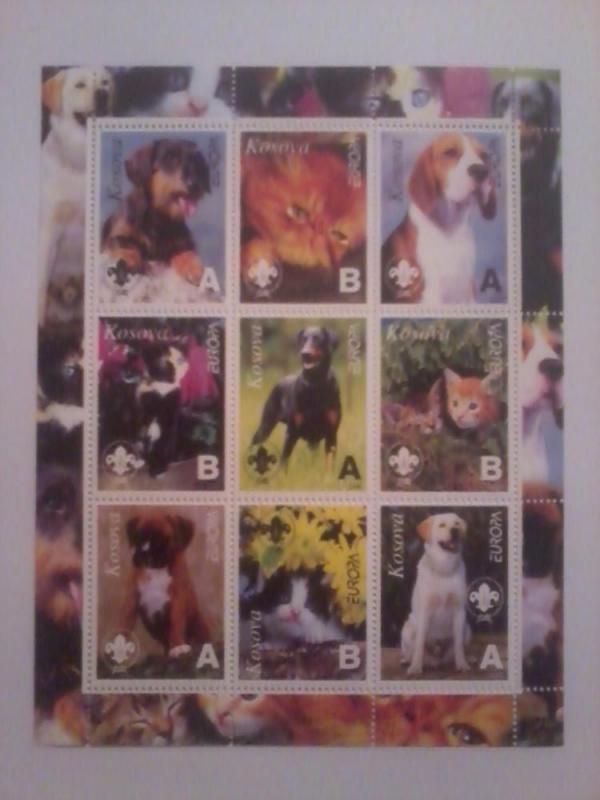 KOSOVA KOSOVO SHEET DOGS