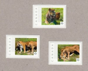 LION and TIGER = Set of 3 UNIQUE Picture stamps MNH Canada 2016 [p16/08ct3]