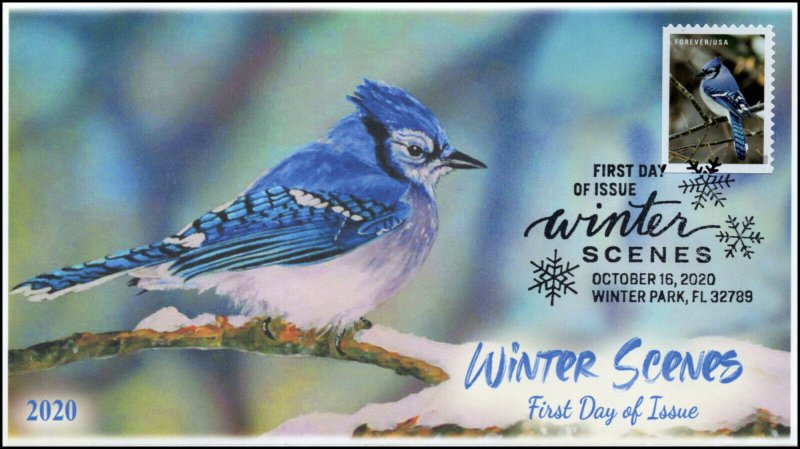 20-253, 2020, Winter Scenes, First Day Cover, Pictorial Postmark, Blue Jay