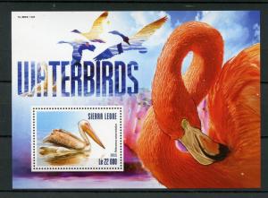 Sierra Leone 2015 MNH Waterbirds 1v S/S Water Birds Pelicans Flamingos Stamps