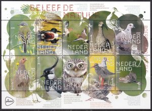 Netherlands, Fauna, Birds / MNH / 2020