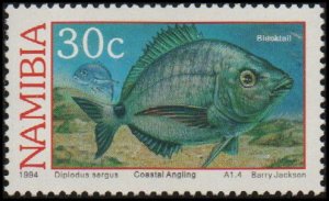 Namibia 755 - Mint-NH - 30c White Seabream (1994)