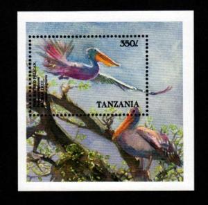 Tanzania Mint S/S Pelicans!