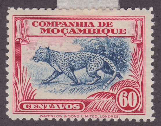 Mozambique Company 184 Leopard 1937