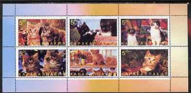 KARAKALPAKIA - 1998 - Domestic Cats - Perf 6v Sheet - Mint Never Hinged