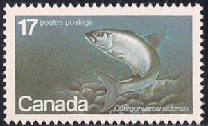 Canada #853 17 cent Atlantic Whitefish mint OG NH XF