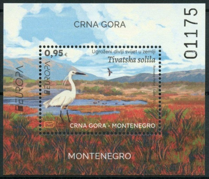 Montenegro 2021 MNH Europa Stamps Endangered Natl Wildlife Saline Birds 1v M/S