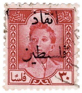 (I.B) Iraq Revenue : Duty Stamp 30f (Save Palestine OP)