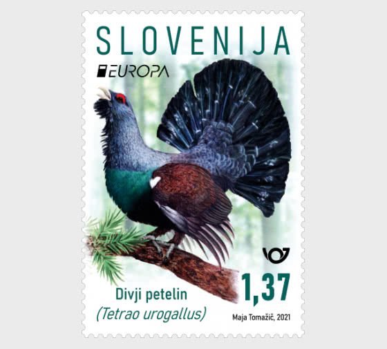 Stamps Slovenia 2021 - Europa 2021 - Endangered National Wildlife - Capercaillie | Europe - Slovenia, General Issue Stamp / HipStamp Stamps Slovenia 2021 - Europa 2021 - Endangered National Wildlife - Capercaillie | Europe - Slovenia, General Issue Stamp / HipStamp