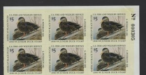 JDS6 Junior Federal Duck Stamp. Plate Number Block Of 6. MNH. OG.  #02 JDS6PB6TR