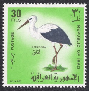 IRAQ SCOTT 467