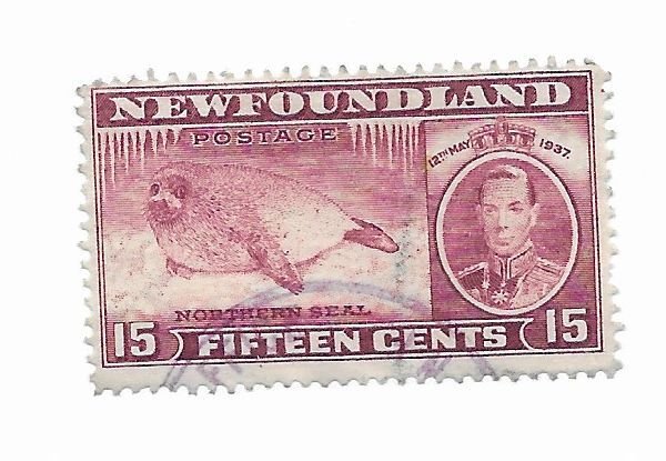 Newfoundland #239 P.P Used - Stamp - CAT VALUE $3.00