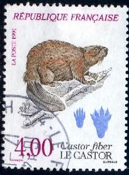 Eurasian Beaver, Castor Fiber, France stamp SC#2263 used