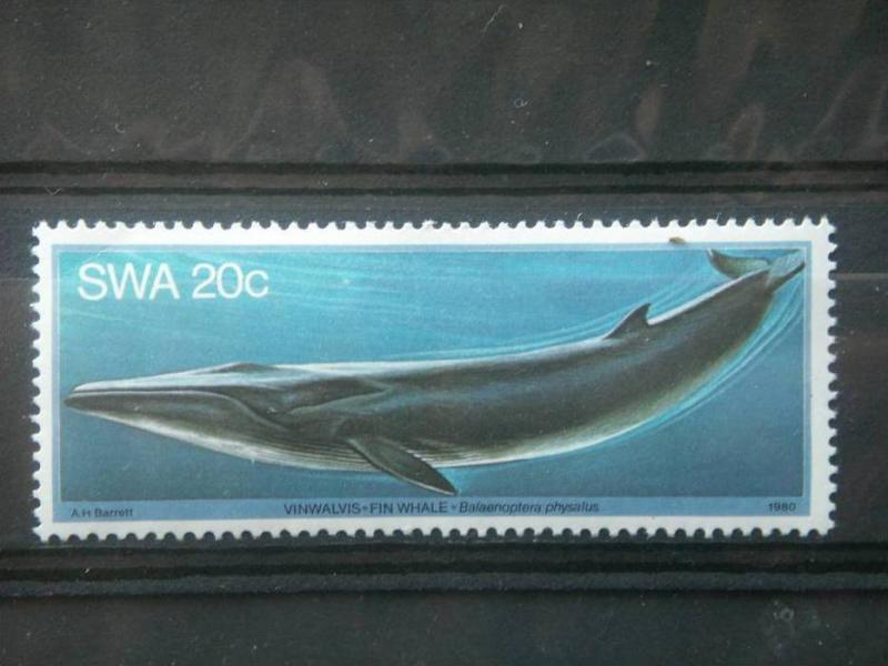 SOUTH WEST AFRICA, 1979, MNH 20c, Whales, Scott 441