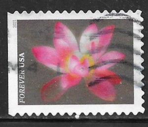 USA 5564: Pink Sacred Lotus, off paper, used, VF