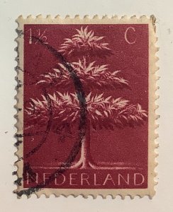 Netherlands 1943 Scott 246 used - 1½c, Germanic symbols,  Triple Crowned Tree