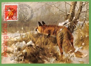 32139 - Switzerland - MAXIMUM CARD - 1966 - ANIMALS,FOX PRO JUVENTUTE-