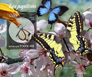 Togo Butterflies Stamps 2020 MNH Glasswing Swallowtail Butterfly Insects 1v S/S