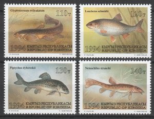 Kyrgyzstan 1994 Fauna Fish 4 MNH stamps 