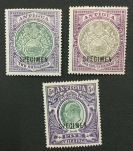 MOMEN: ANTIGUA SG #38s-40s SPECIMEN 1903-07 MINT OG H LOT #191541-223