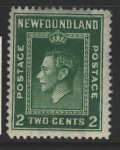 Newfoundland Sc#254 MNH