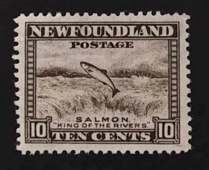 Newfoundland 260 VF MNH