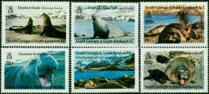 South Georgia 1991 Elephant Seals Set of 6 SG203-208 V.F MNH