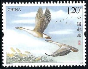 PR CHINA 2018-22 Wild Goose (2018) MNH
