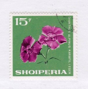 Albania     1118                  used
