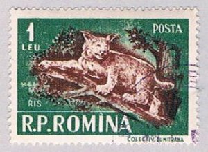 Romania 1088 Used Lynx 1956 (BP52725)