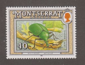 Montserrat 808 Insects 1992