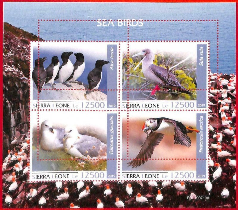 A4534 - SIERRA LEONE - ERROR MISPERF, Miniature sheet: 2019, Sea Birds, Segals