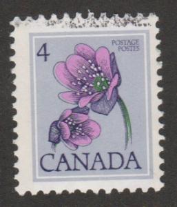 709 Hepatica