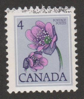 709 Hepatica