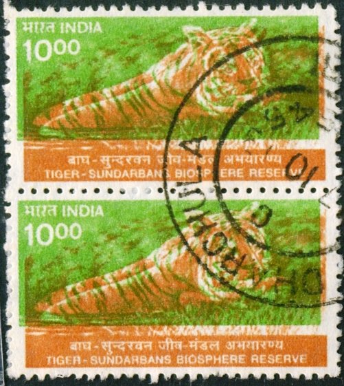 INDIA 2002 TIGER 10r DOUBLE PRINT