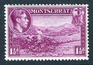 Montserrat 1938 KGVI. 1 1/2d purple. Mint. LH. P13. SG103.