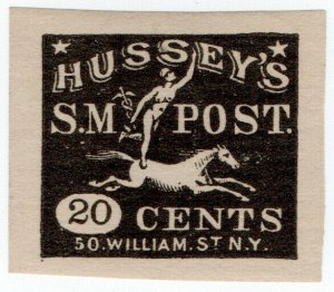 (I.B) US Local Post : Hussey's Special Message 20c (William St)