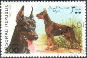 Dog, Doberman, Somali stamp used