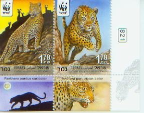 Leopard-WWF, Set of 2,  ISRA11003